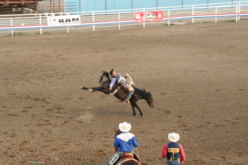 Trip (189).JPG - Bucking broncos at the Cody, Wyoming rodeo
